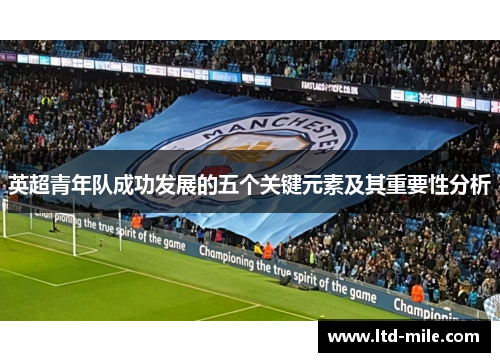 英超青年队成功发展的五个关键元素及其重要性分析