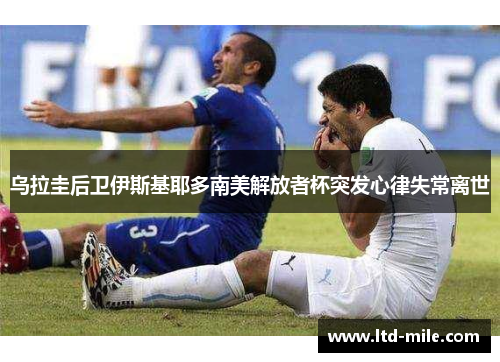 乌拉圭后卫伊斯基耶多南美解放者杯突发心律失常离世