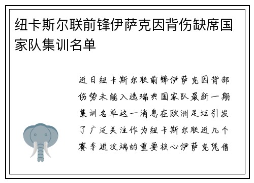 纽卡斯尔联前锋伊萨克因背伤缺席国家队集训名单